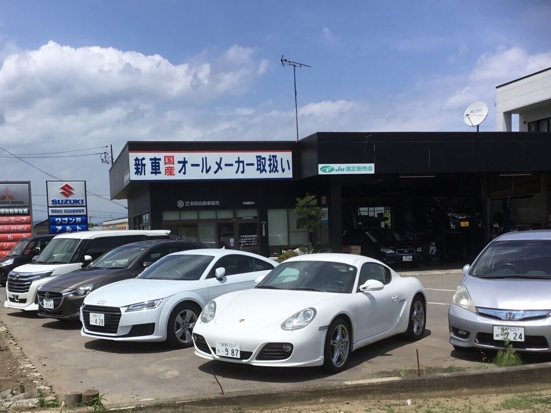 S__33054743